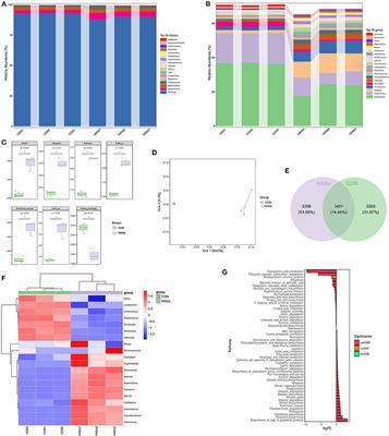 Sodium humate alters the intestinal microbiome, short-chain fatty acids, eggshell ultrastructure, and egg performance of old laying hens